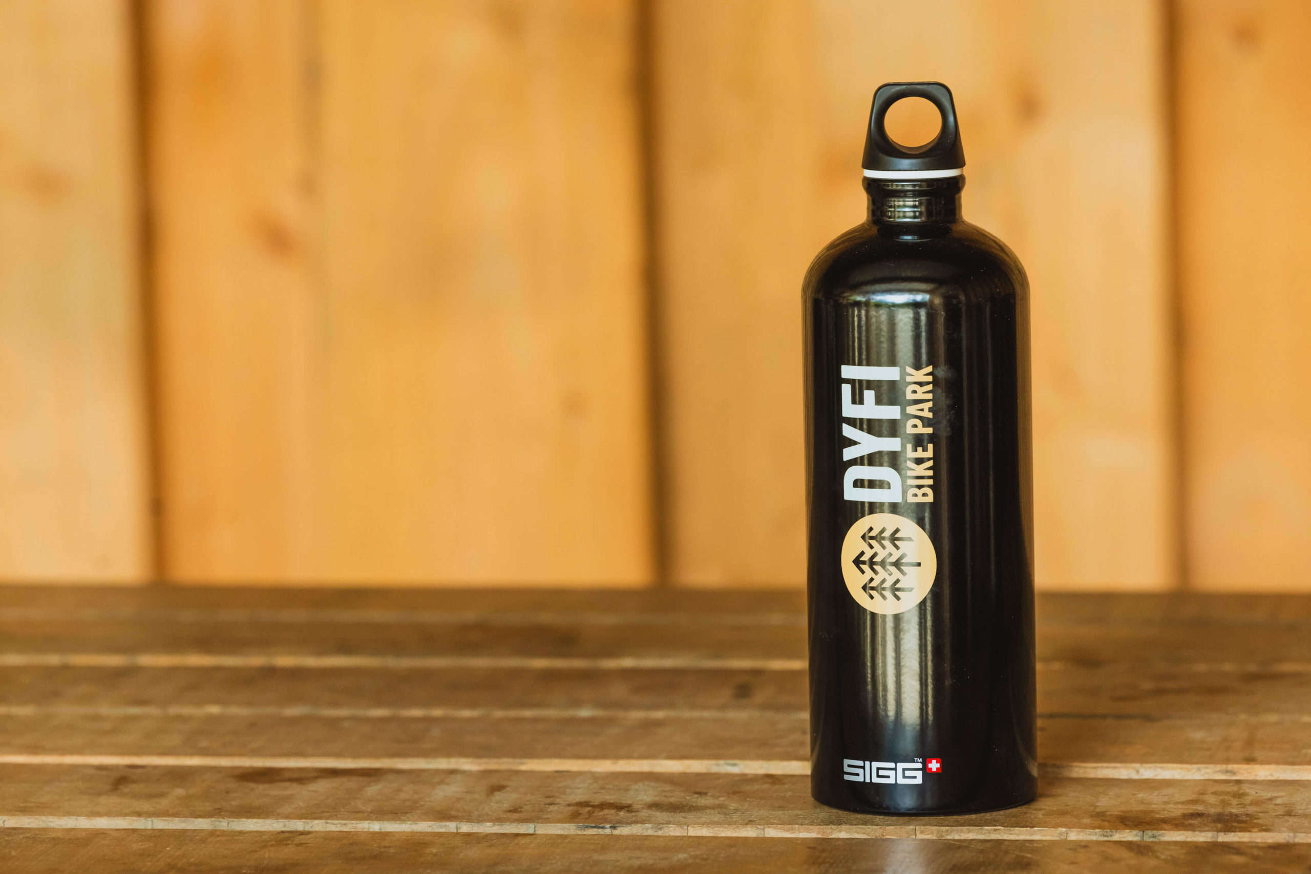 Dyfi Bike Park X SIGG Bottle in black